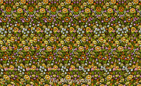 The Stereogram The Stereogram