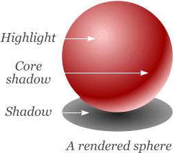 A rendered sphere Highlight Core shadow  Shadow