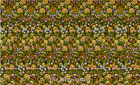 The Stereogram The Stereogram