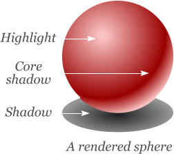 A rendered sphere Highlight Core shadow  Shadow