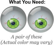 What You Need: A pair of these (Actual color may vary)