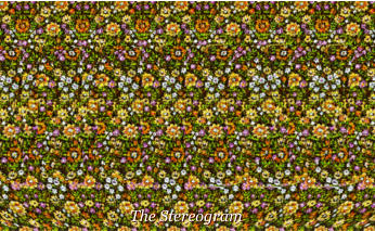 The Stereogram The Stereogram